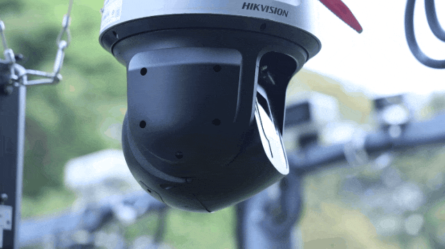 5.gif